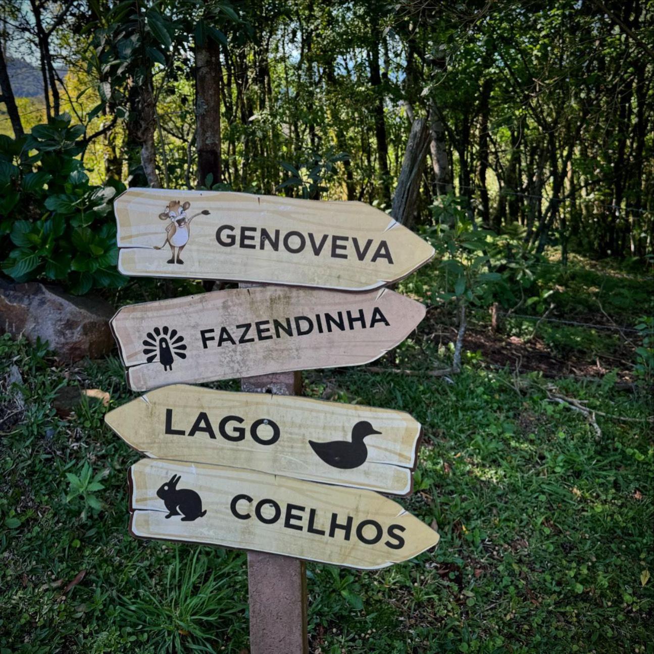 Hotel Bangalos Da Serra Грамаду Экстерьер фото