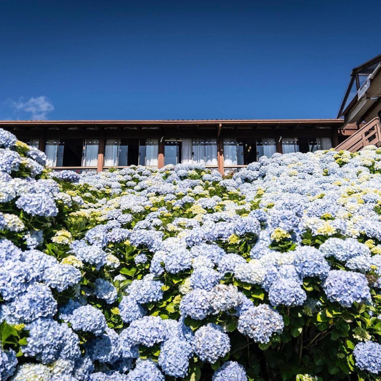 Hotel Bangalos Da Serra Грамаду Экстерьер фото